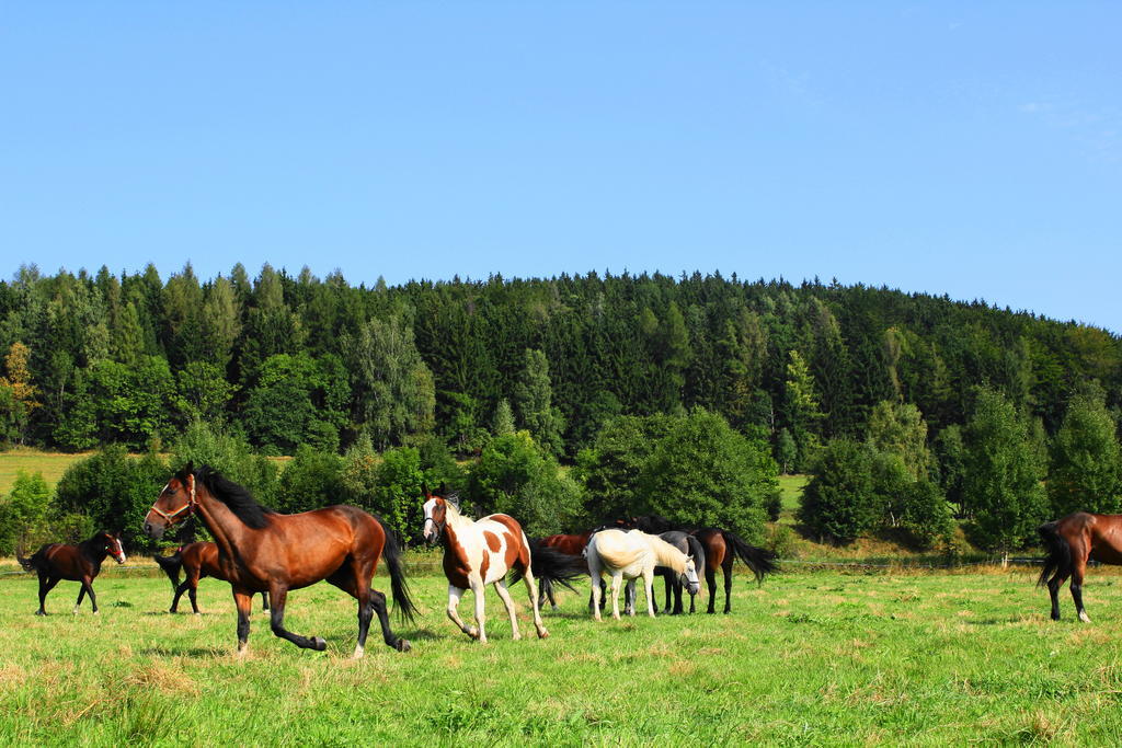 Villa La Val, Karkonosze Szarocin ภายนอก รูปภาพ