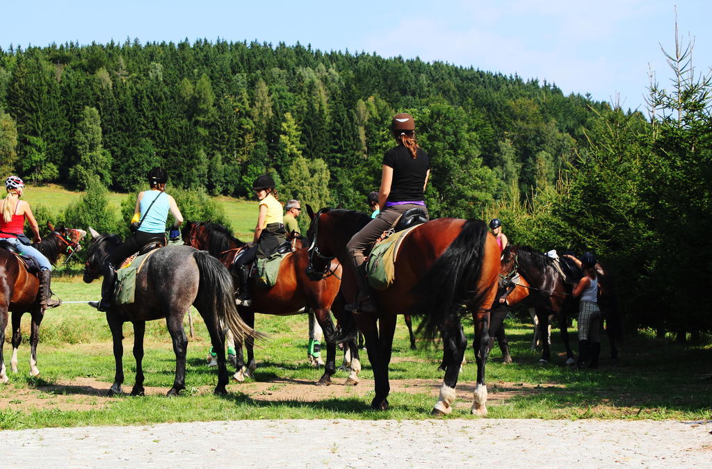 Villa La Val, Karkonosze Szarocin ภายนอก รูปภาพ