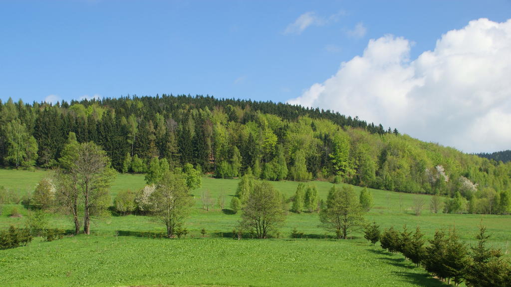 Villa La Val, Karkonosze Szarocin ภายนอก รูปภาพ