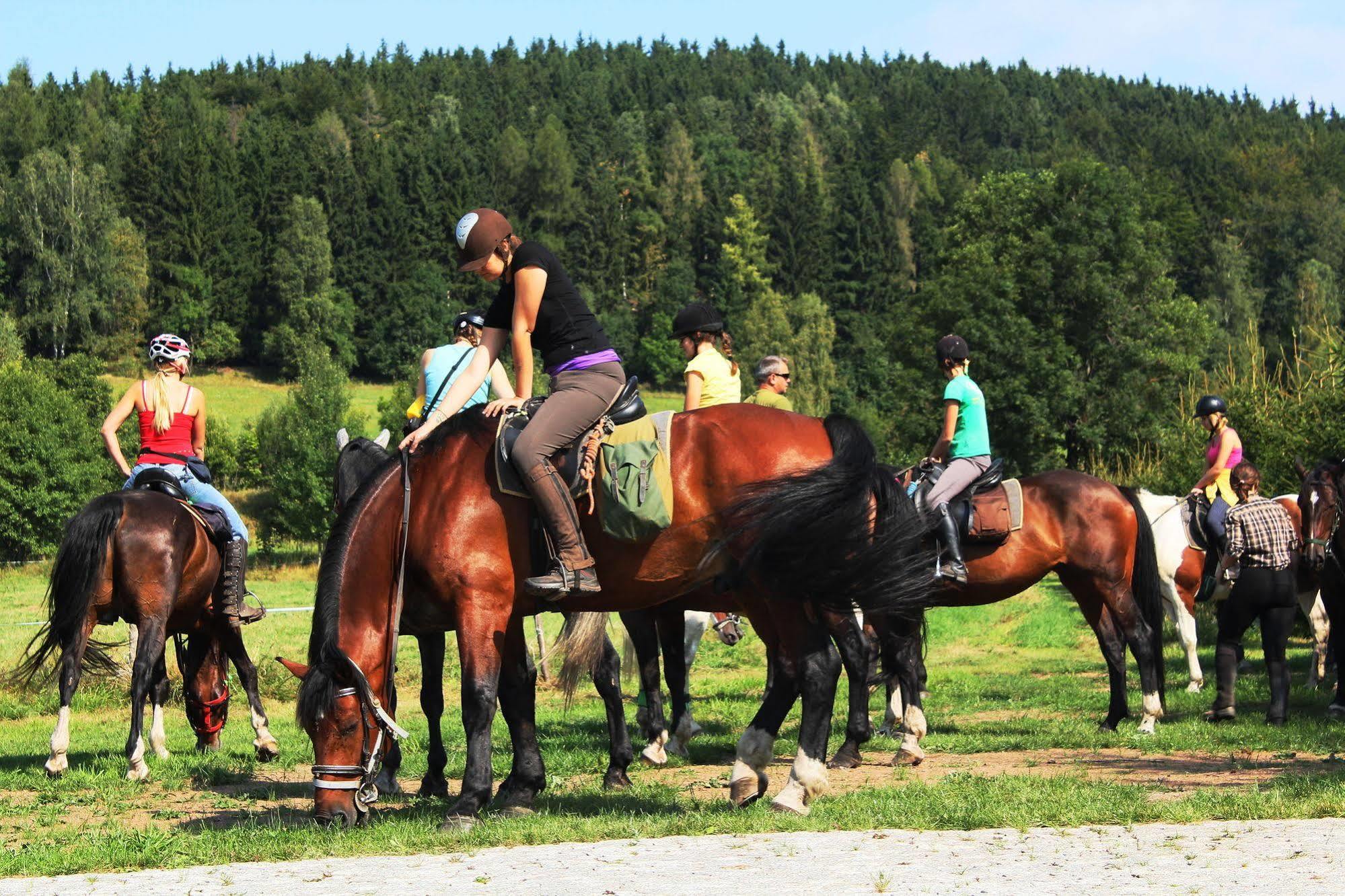 Villa La Val, Karkonosze Szarocin ภายนอก รูปภาพ